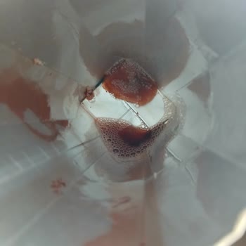 Cappy Vişne Suyunda Tortu Şaşkınlığı Ve Hayal Kırıklığı