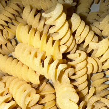 Granoro Makarnadan Çıkan Böcek Şoku