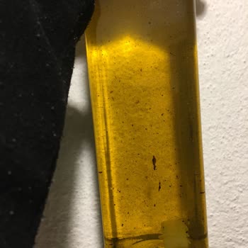 MarmaraBirlik 5L: внутри упаковки ржавчина и осадок в оливковом масле