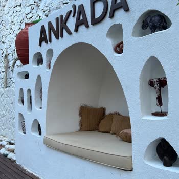 Anka Ayanikola Pişmanlık Oldu