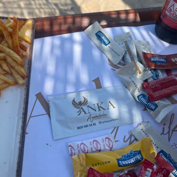 Anka Ayanikola Pişmanlık Oldu