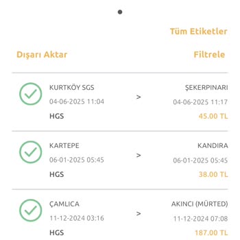 HGS'de Yanlış Geçiş Bildirimi Ve Haksız Ceza Uyarısı