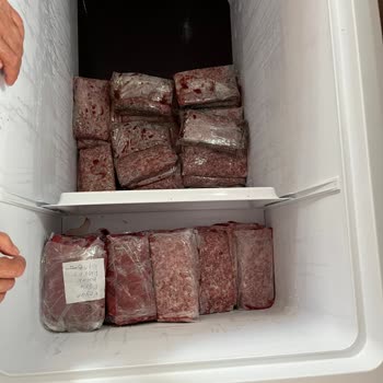 Arçelik 2298 J Dondurucu Mağduriyeti