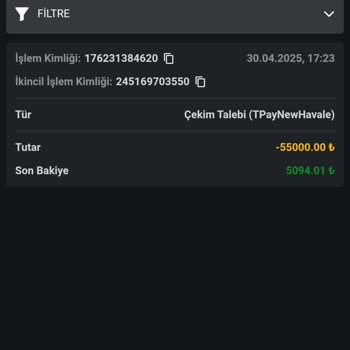 Çektiğim Param Hesabıma Geçmedi Neden Bekletiliyorum