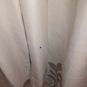 Tur Programında Bilgilendirme Eksikliği Ve Kötü Konaklama Deneyimi