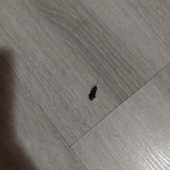 Tur Programında Bilgilendirme Eksikliği Ve Kötü Konaklama Deneyimi