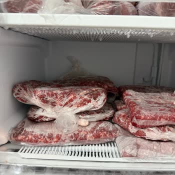 Vestel Derin Dondurucu Arızası Ve Servis Sürecinde Yaşanan Sorunlar