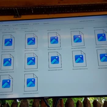 Vialand'da Gümüş Bilet Hayal Kırıklığı: Her Adımda Engeller Ve Eksik Bilgilendirme