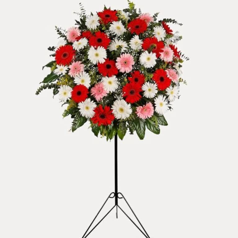 Şerit Boyutu Değişmedi, Siparişim Mağduriyetle Sonuçlandı