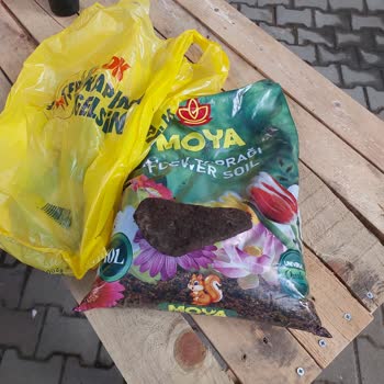 Bitki Toprağında Kaya Taşı Çıkması