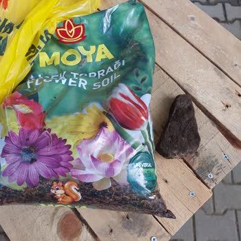 Bitki Toprağında Kaya Taşı Çıkması