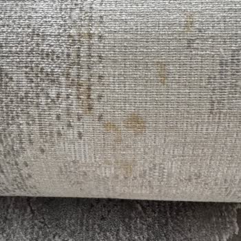 Halivitrini Siparişim Küf Kokan, Küf Lekeleri Kusmuş Ve Ciddi Derecede Defolu Bir Şekilde Geldi