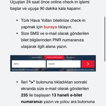 THY Bilet Satışında Check-in Engeli Ve Havalimanında Esneklik Sağlanmaması Mağduriyeti
