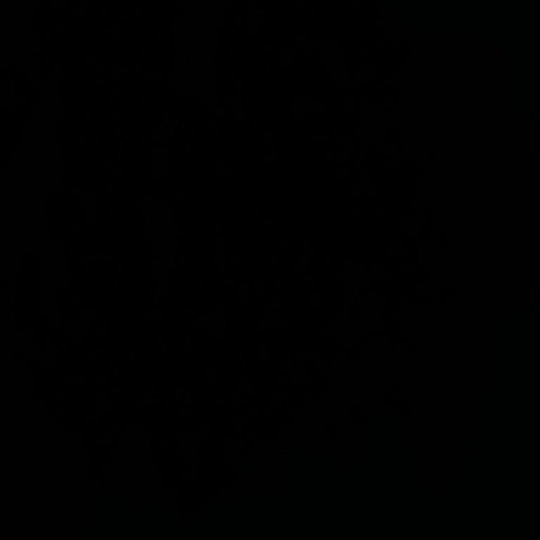 Obilet Müşteri Hizmetlerinde Tutarsız Bilgi Ve Olumsuz İletişim Deneyimi