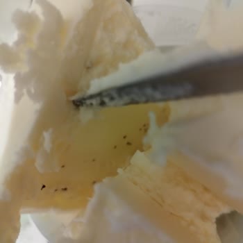 Sütaş Tereyağında Küf Benzeri Siyah Noktalar Şoku!