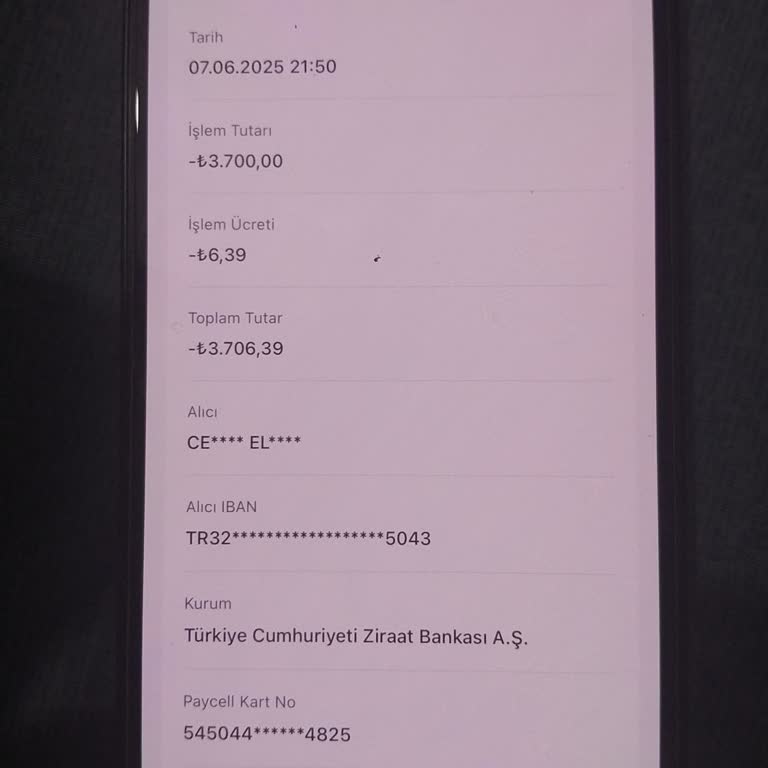 Kaybolan Para, Cevapsız Sorular: 3.700 TL'm Nerede?