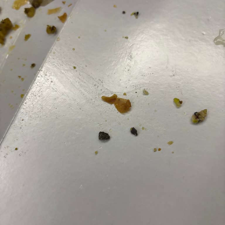 Tatlıların İçinden Taş Çıkması Nedeniyle Yaşanan Mağduriyet