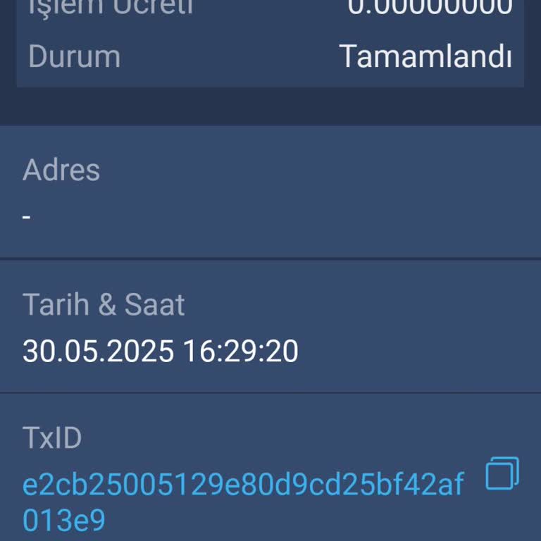 Bitexen Hesabımdaki Bakiyenin Sıfırlanması Ve Mağduriyet