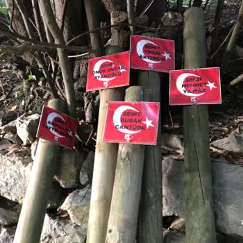 Şehitler İçin Dikilen Ağaçlar Bakımsızlığa Terk Edildi