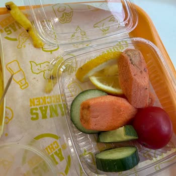 Yemeklerde Hijyen Sorunu Ve Sinek Problemi