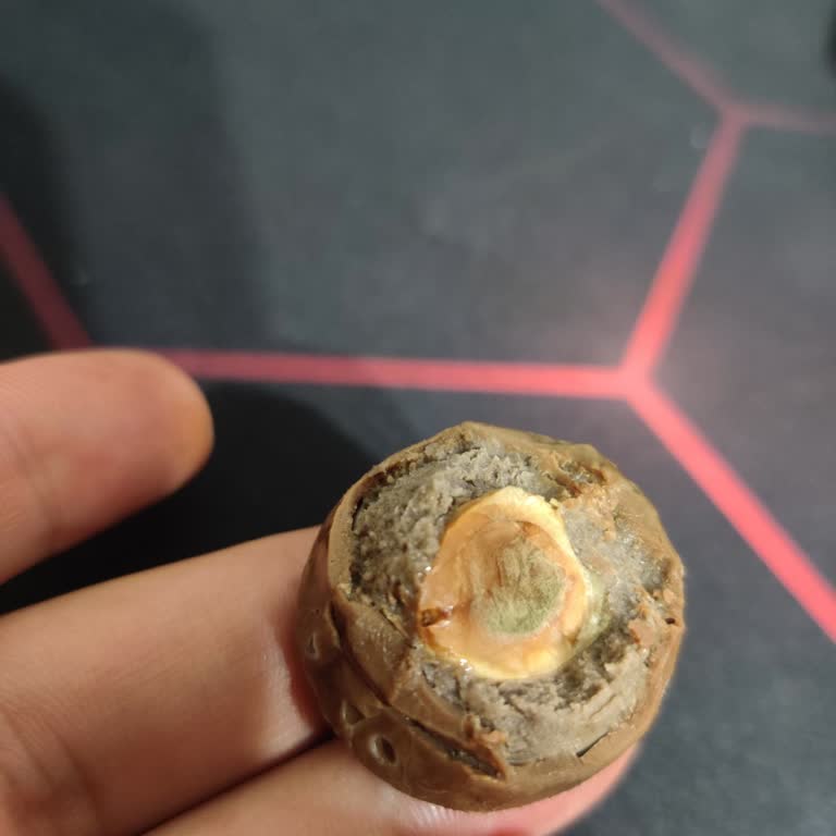 Çikolatada Bozuk Fındık Ve Kötü Aroma Şoku