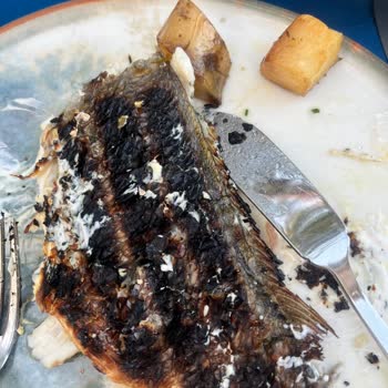 Poseidon Balık Restoranı Memnuniyetsizliği