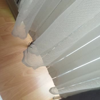 Otelin Temizlik Ve Hizmet Sorunları Müşteri Memnuniyetini Olumsuz Etkiliyor