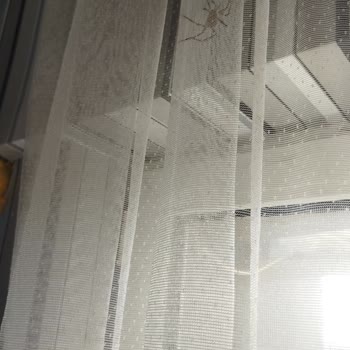 Otelin Temizlik Ve Hizmet Sorunları Müşteri Memnuniyetini Olumsuz Etkiliyor