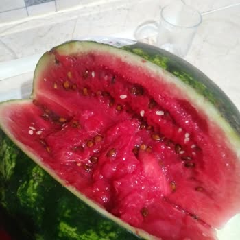 Üreten Manav Aldığım Karpuz Çürük Çıktı