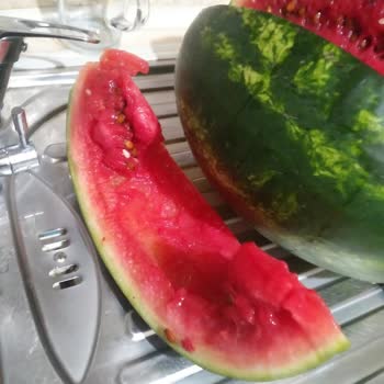 Üreten Manav Aldığım Karpuz Çürük Çıktı