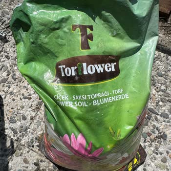 Torflower Toprak İçinden Taş Çıktı