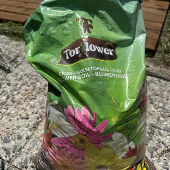 Torflower Toprak İçinden Taş Çıktı