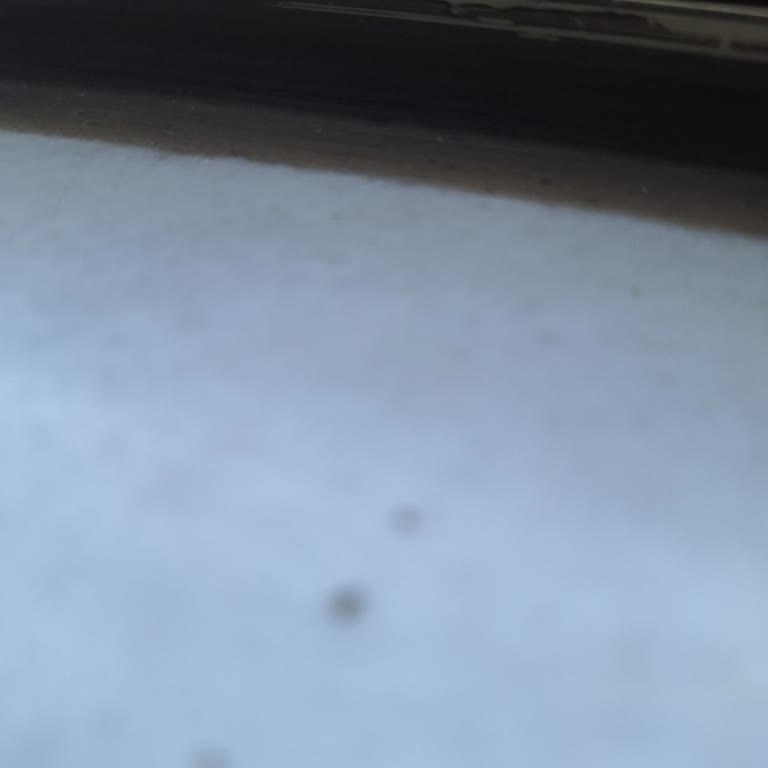 Betmoney Bonus Kazancım Haksız Yere İptal Edildi, Üyeliğimin Kapatılmasını İstiyorum