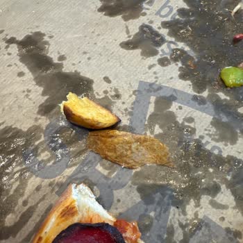Sbarro Sipariş Edilen Patatesin Sunumu Ve Fiyatı Hakkında Memnuniyetsizlik
