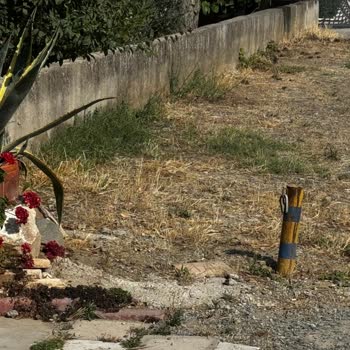 Balıkesir Güre Cumhuriyet Mahallesi Muhtarı Şikayeti