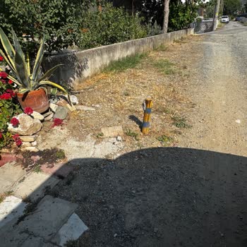 Balıkesir Güre Cumhuriyet Mahallesi Muhtarı Şikayeti