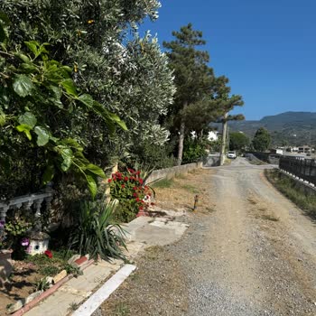 Balıkesir Güre Cumhuriyet Mahallesi Muhtarı Şikayeti