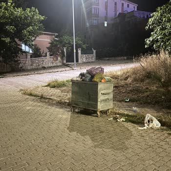 Çöpler Günlerdir Alınmıyor, Mahalle Hijyen Sorunu Yaşıyor