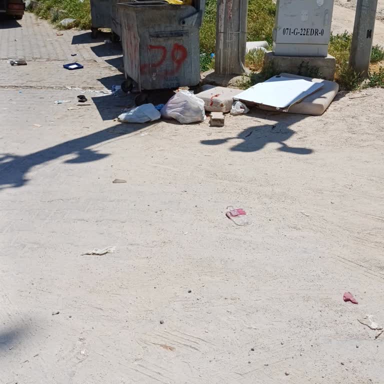 Selimiye Camii Çevresindeki Temizlik Sorunu Ve Sağlıksız Ortam
