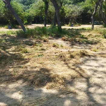 Çamlıköy Tabiat Parkı'nda Beklentilerin Altında Hizmet Ve Yanıltıcı Bilgilendirme