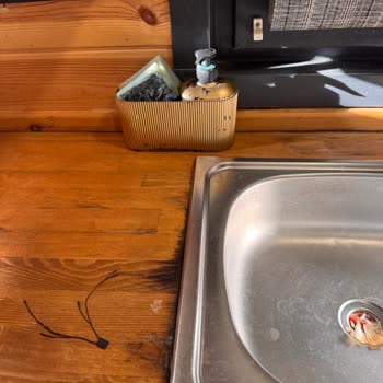 Koru Park Bungalov (Sapanca) Memnuniyetsizliği