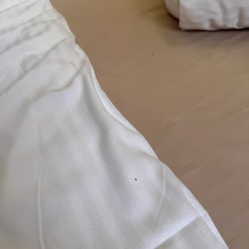 Koru Park Bungalov (Sapanca) Memnuniyetsizliği