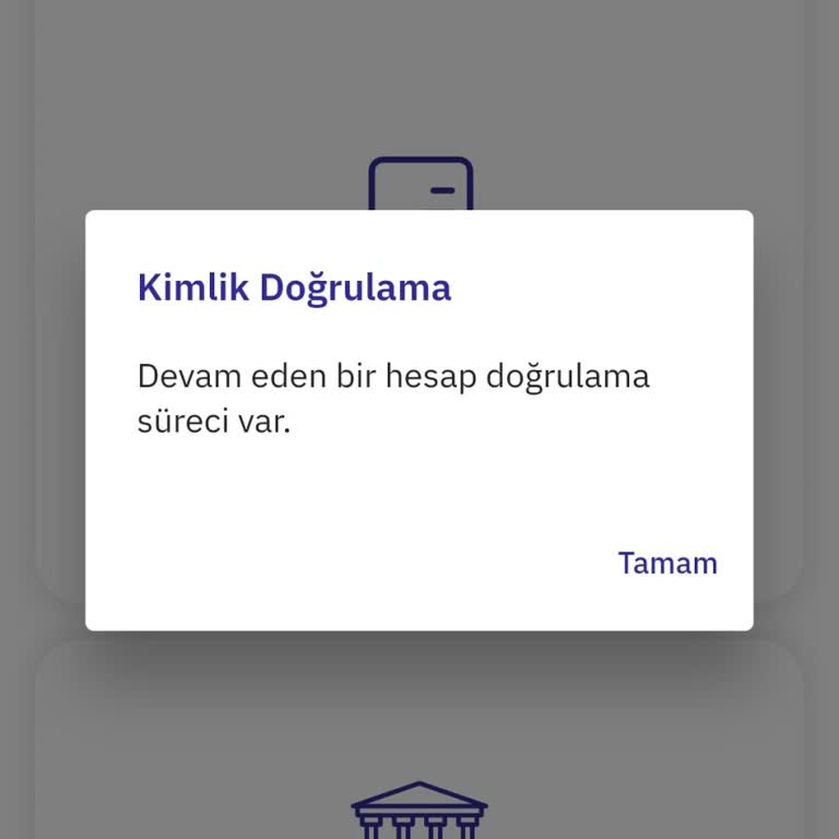 Oldubil Limitsiz Hesap Başvurum Günlerdir Onaylanmıyor, İşlerim Aksıyor