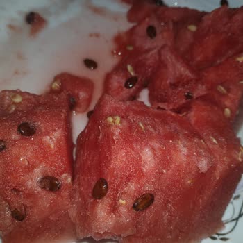 Irmaklar Market'te Çürük Karpuz, İade Sorunu Ve Kötü Hizmet Deneyimi