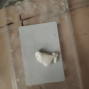 Teksüt Peynirde Yoğun Koku Ve Bozulma Şikayeti