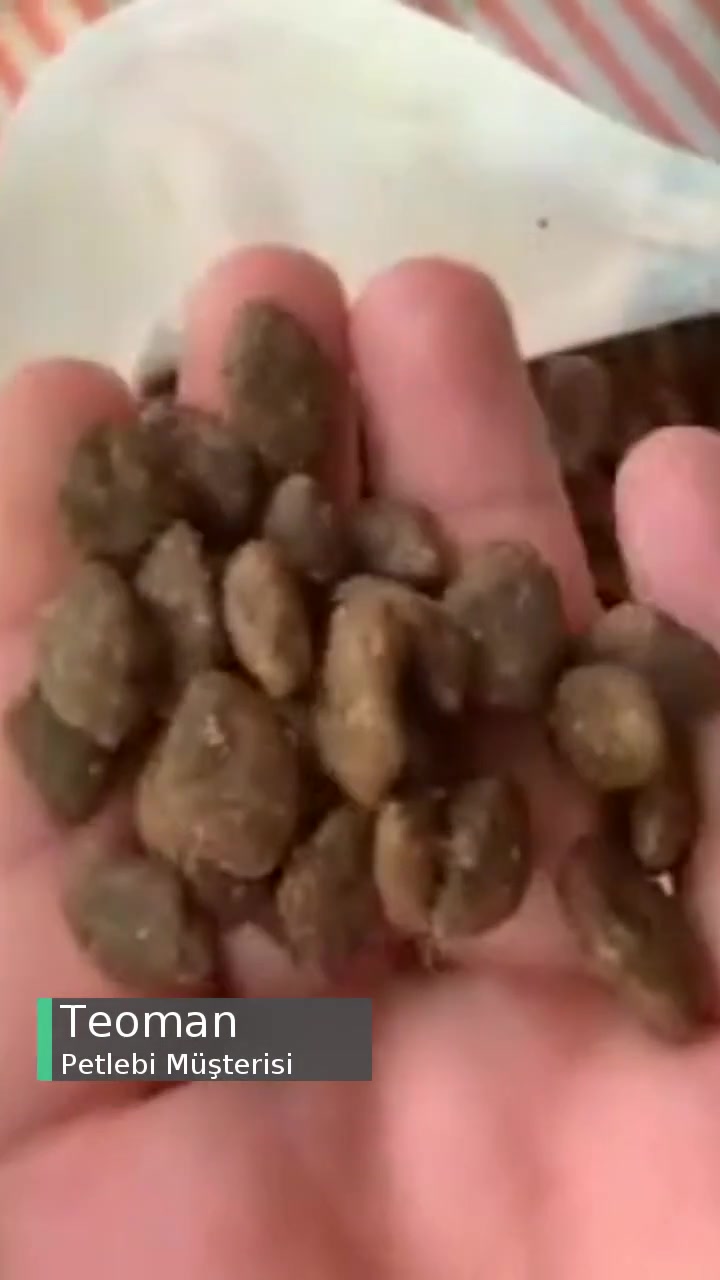 Petlebi Şüpheli Köpek Maması videonun kapak resmi