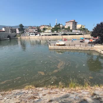 Tokat Belediyesi Irmak Kenarında Temizlik Sorunu Ve Ölü Balıklar