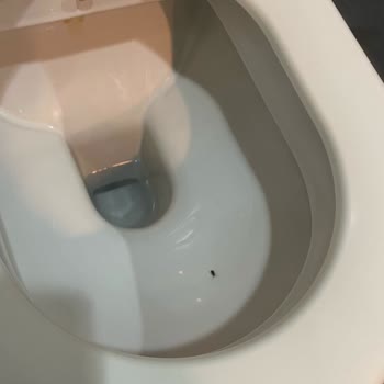 Tur Programı Ve Konaklama Koşulları Hayal Kırıklığı Yarattı