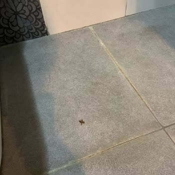 Tur Programı Ve Konaklama Koşulları Hayal Kırıklığı Yarattı