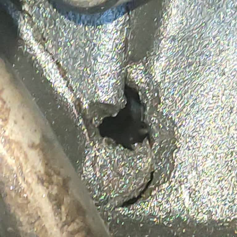 Renault Talisman Motor Arızası Sonrası İyi Niyet Garantisi Talebim Karşılanmıyor